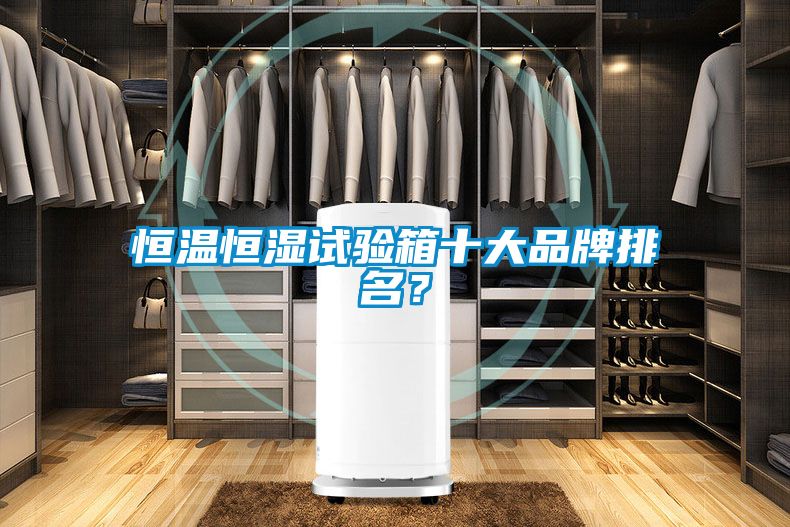 恒溫恒濕試驗箱十大品牌排名？