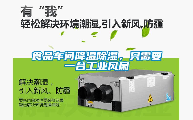 食品車間降溫除濕，只需要一臺工業風扇
