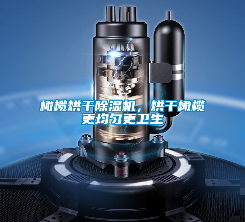 橄欖烘干除濕機，烘干橄欖更均勻更衛生