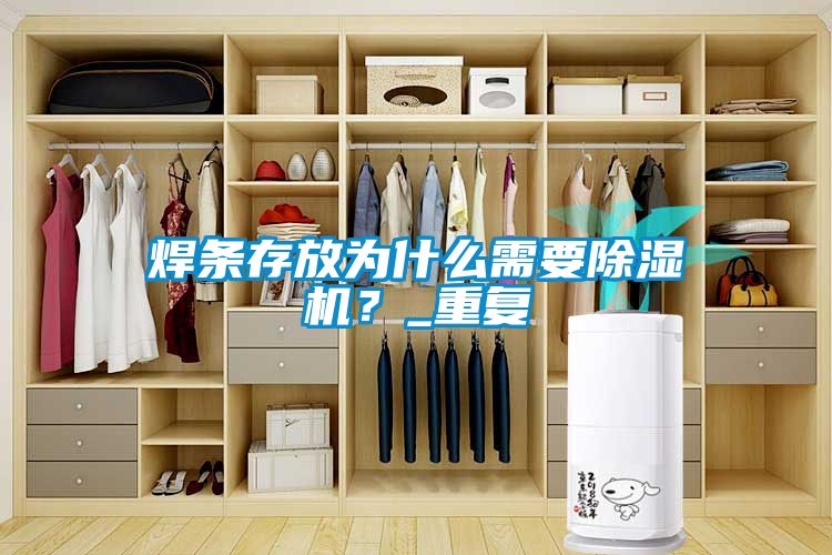 焊條存放為什么需要除濕機？_重復