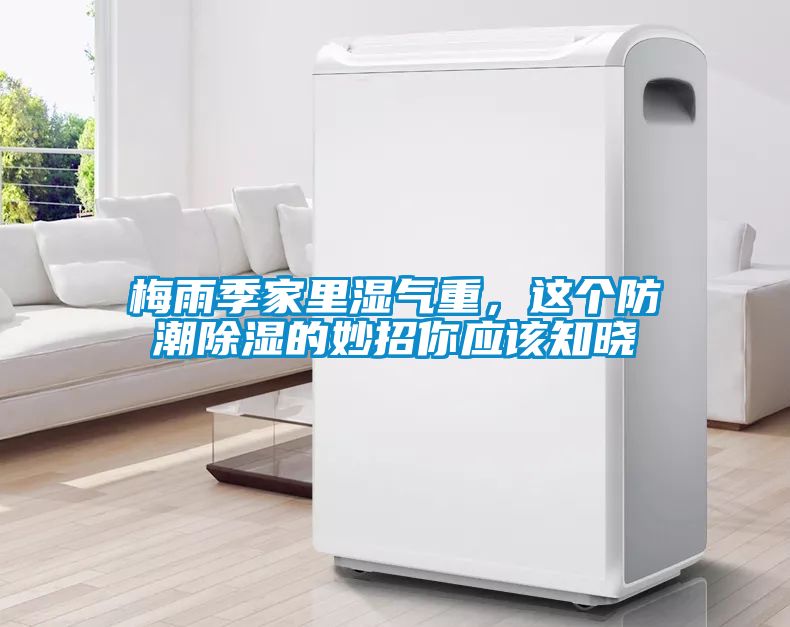 梅雨季家里濕氣重，這個防潮除濕的妙招你應該知曉