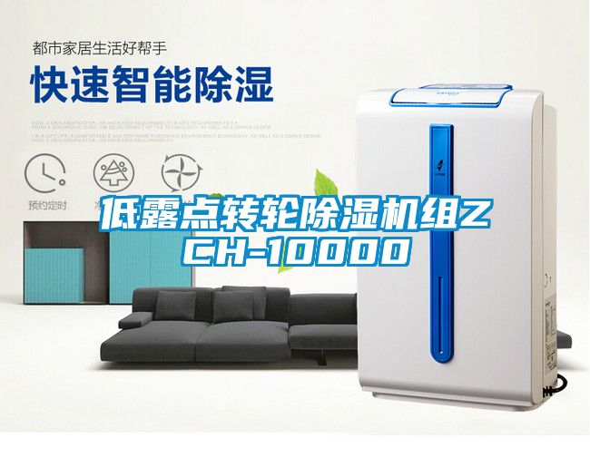 低露點轉(zhuǎn)輪除濕機(jī)組ZCH-10000