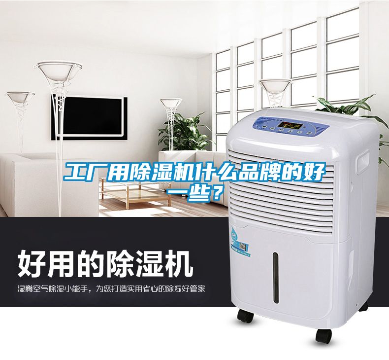 工廠用除濕機什么品牌的好一些？