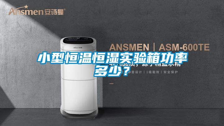 小型恒溫恒濕實驗箱功率多少？