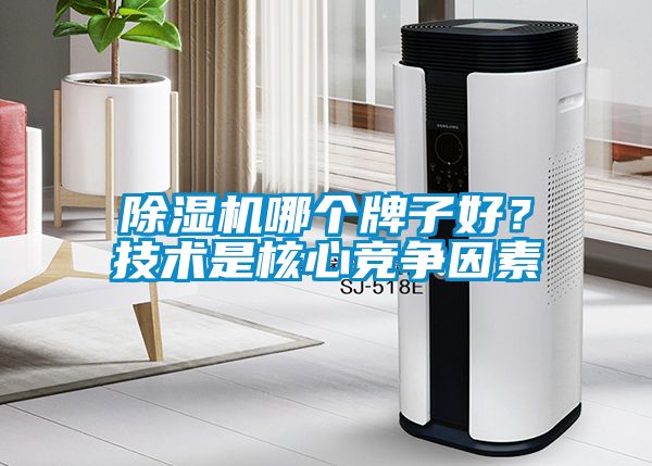 除濕機哪個牌子好？技術是核心競爭因素