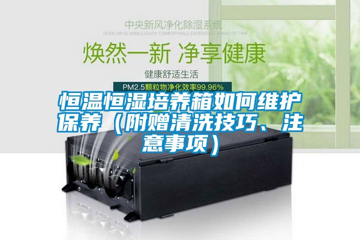 恒溫恒濕培養(yǎng)箱如何維護(hù)保養(yǎng)（附贈(zèng)清洗技巧、注意事項(xiàng)）