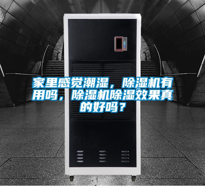 家里感覺潮濕，除濕機有用嗎，除濕機除濕效果真的好嗎？