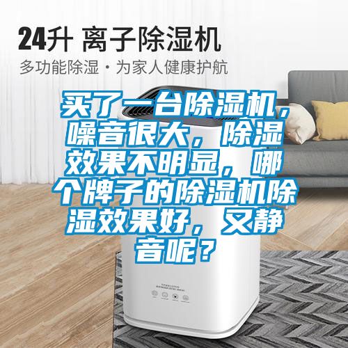 買了一臺除濕機，噪音很大，除濕效果不明顯，哪個牌子的除濕機除濕效果好，又靜音呢？