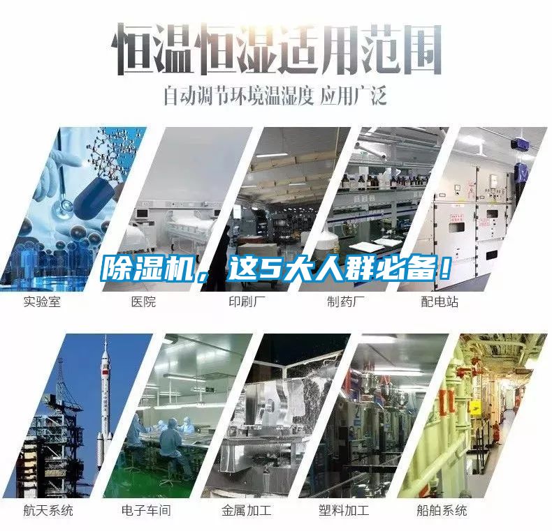 除濕機，這5大人群必備！