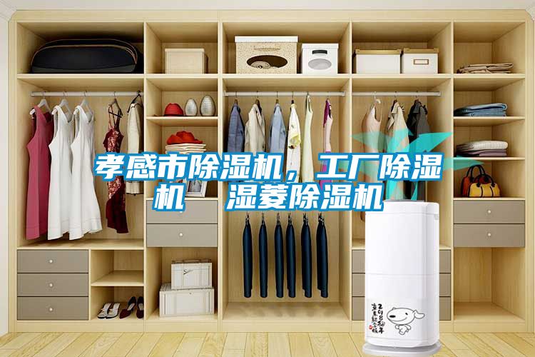 孝感市除濕機，工廠除濕機  濕菱除濕機