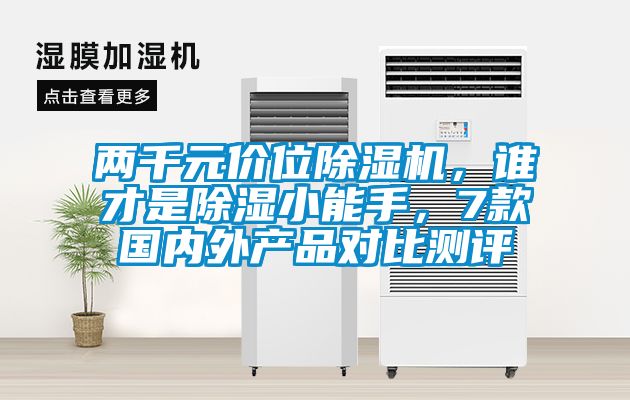 兩千元價位除濕機，誰才是除濕小能手，7款國內外產品對比測評