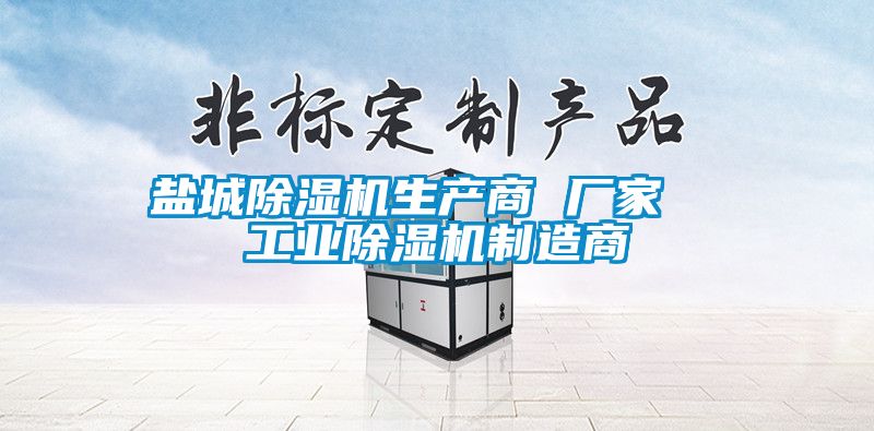 鹽城除濕機(jī)生產(chǎn)商 廠(chǎng)家  工業(yè)除濕機(jī)制造商