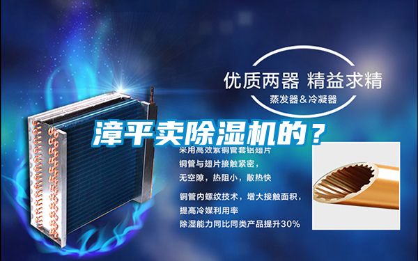 漳平賣除濕機的？