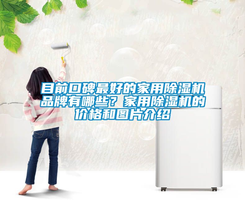 目前口碑最好的家用除濕機品牌有哪些？家用除濕機的價格和圖片介紹