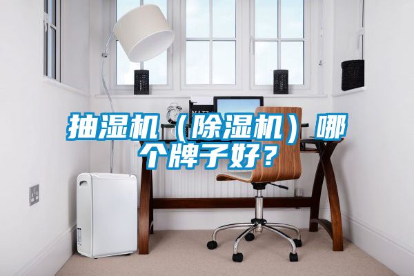抽濕機（除濕機）哪個牌子好？