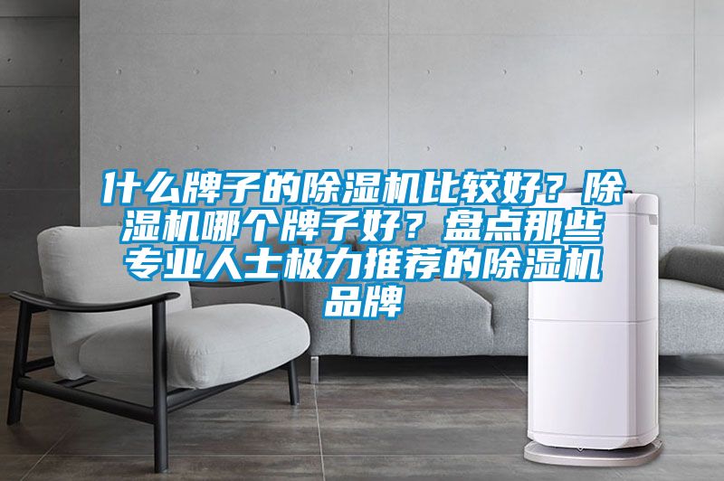 什么牌子的除濕機比較好？除濕機哪個牌子好？盤點那些專業人士極力推薦的除濕機品牌