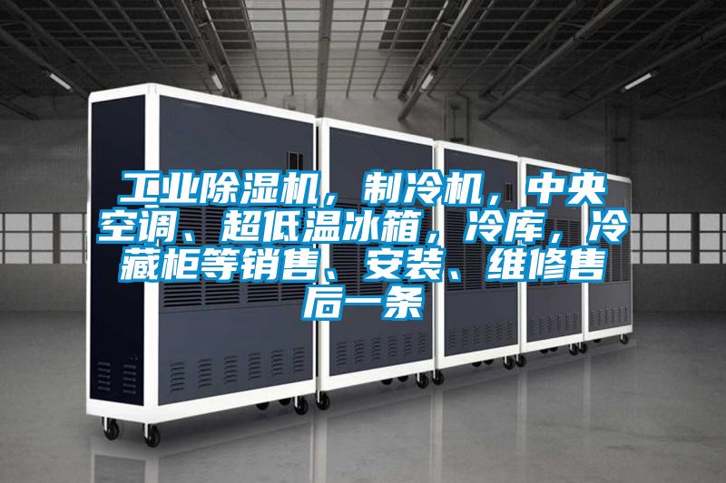 工業除濕機，制冷機，中央空調、超低溫冰箱，冷庫，冷藏柜等銷售、安裝、維修售后一條