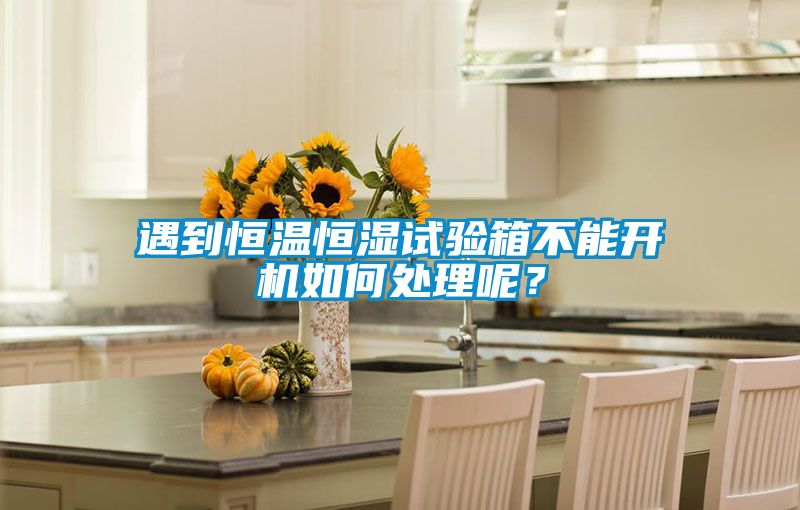 遇到恒溫恒濕試驗箱不能開機(jī)如何處理呢？
