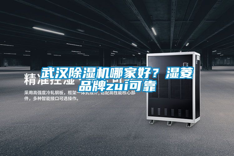 武漢除濕機哪家好？濕菱品牌zui可靠