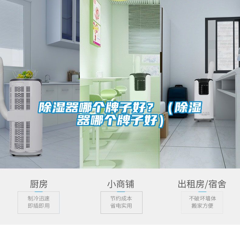 除濕器哪個牌子好？（除濕器哪個牌子好）