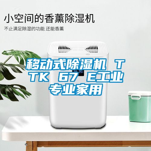 移動(dòng)式除濕機(jī) TTK 67 E工業(yè)專(zhuān)業(yè)家用