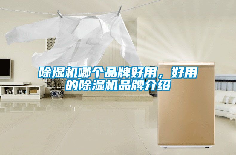 除濕機哪個品牌好用，好用的除濕機品牌介紹