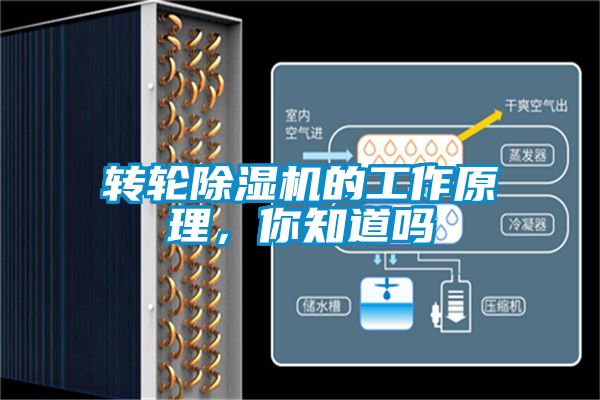 轉輪除濕機的工作原理，你知道嗎