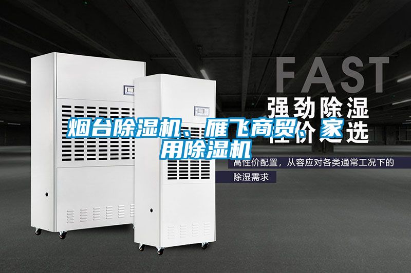 煙臺除濕機、雁飛商貿、家用除濕機