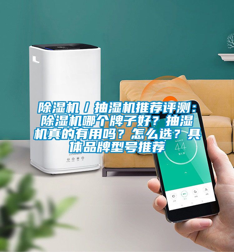 除濕機(jī)／抽濕機(jī)推薦評(píng)測：除濕機(jī)哪個(gè)牌子好？抽濕機(jī)真的有用嗎？怎么選？具體品牌型號(hào)推薦