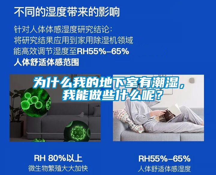 為什么我的地下室有潮濕， 我能做些什么呢？