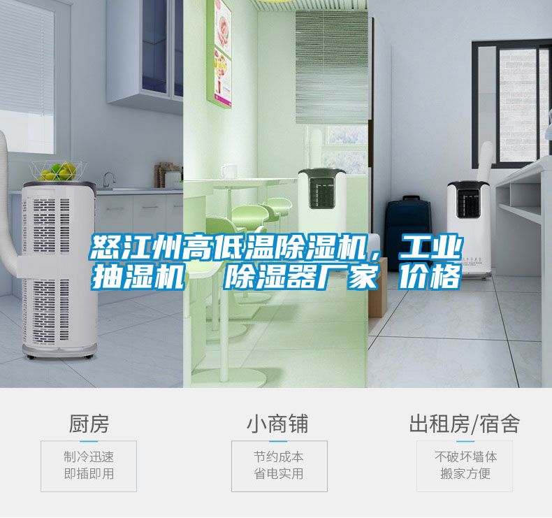 怒江州高低溫除濕機，工業抽濕機  除濕器廠家 價格