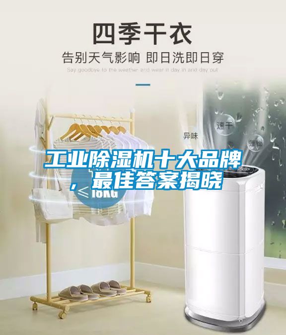 工業除濕機十大品牌，最佳答案揭曉