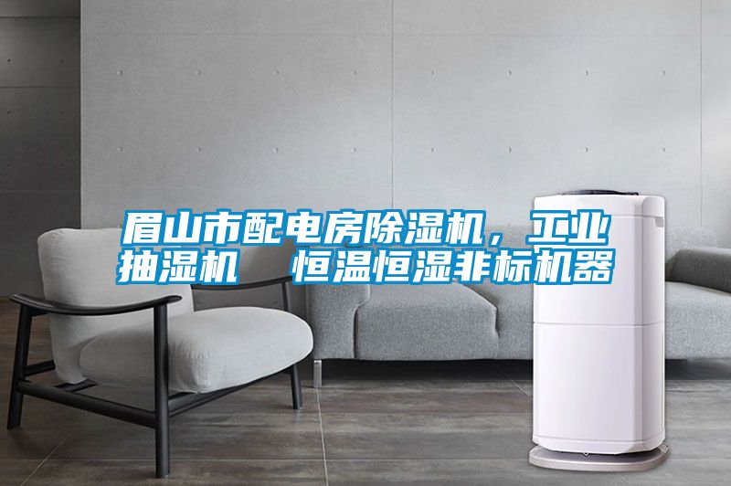 眉山市配電房除濕機，工業抽濕機  恒溫恒濕非標機器