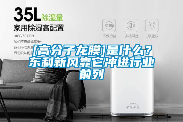 [高分子龍膜]是什么？東利新風靠它沖進行業前列