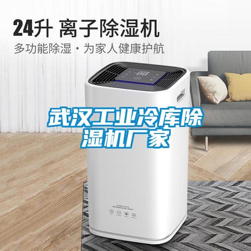 武漢工業(yè)冷庫(kù)除濕機(jī)廠(chǎng)家