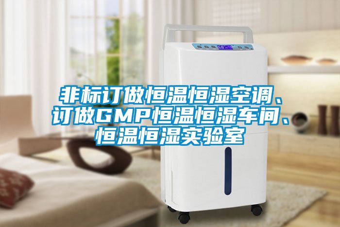 非標(biāo)訂做恒溫恒濕空調(diào)、訂做GMP恒溫恒濕車間、恒溫恒濕實驗室