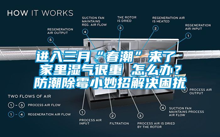 進(jìn)入三月“春潮”來(lái)了 家里濕氣很重 怎么辦？防潮除霉小妙招解決困擾